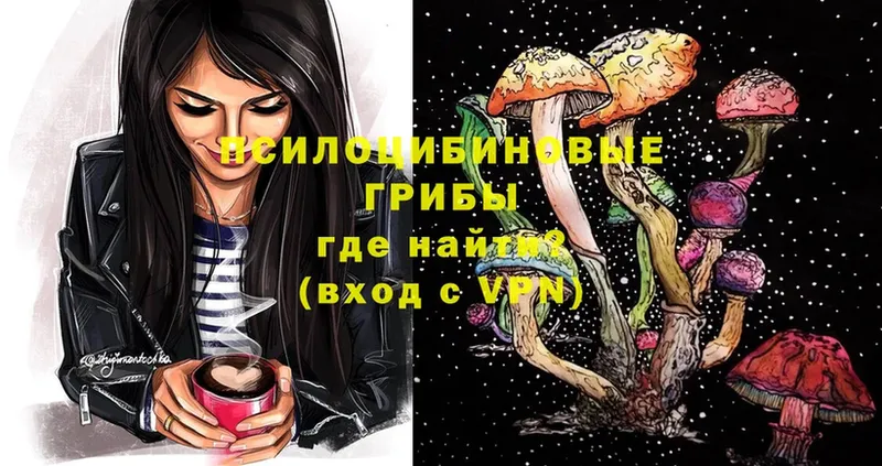 Галлюциногенные грибы Psilocybe  купить  сайты  Искитим 